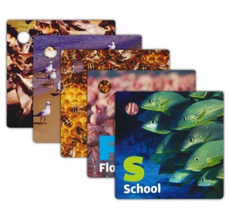 Baby Einstein Flash Cards